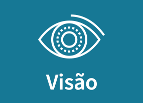 visao